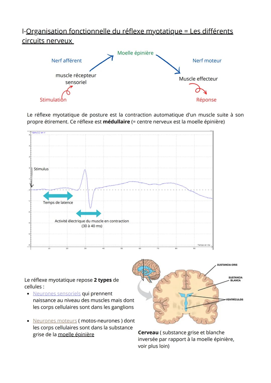 Thème 3: Corps humain et Santé
1ère partie: Comportement et mouvement
.
Comment une substance chimique peut interférer avec le fonctionnemen