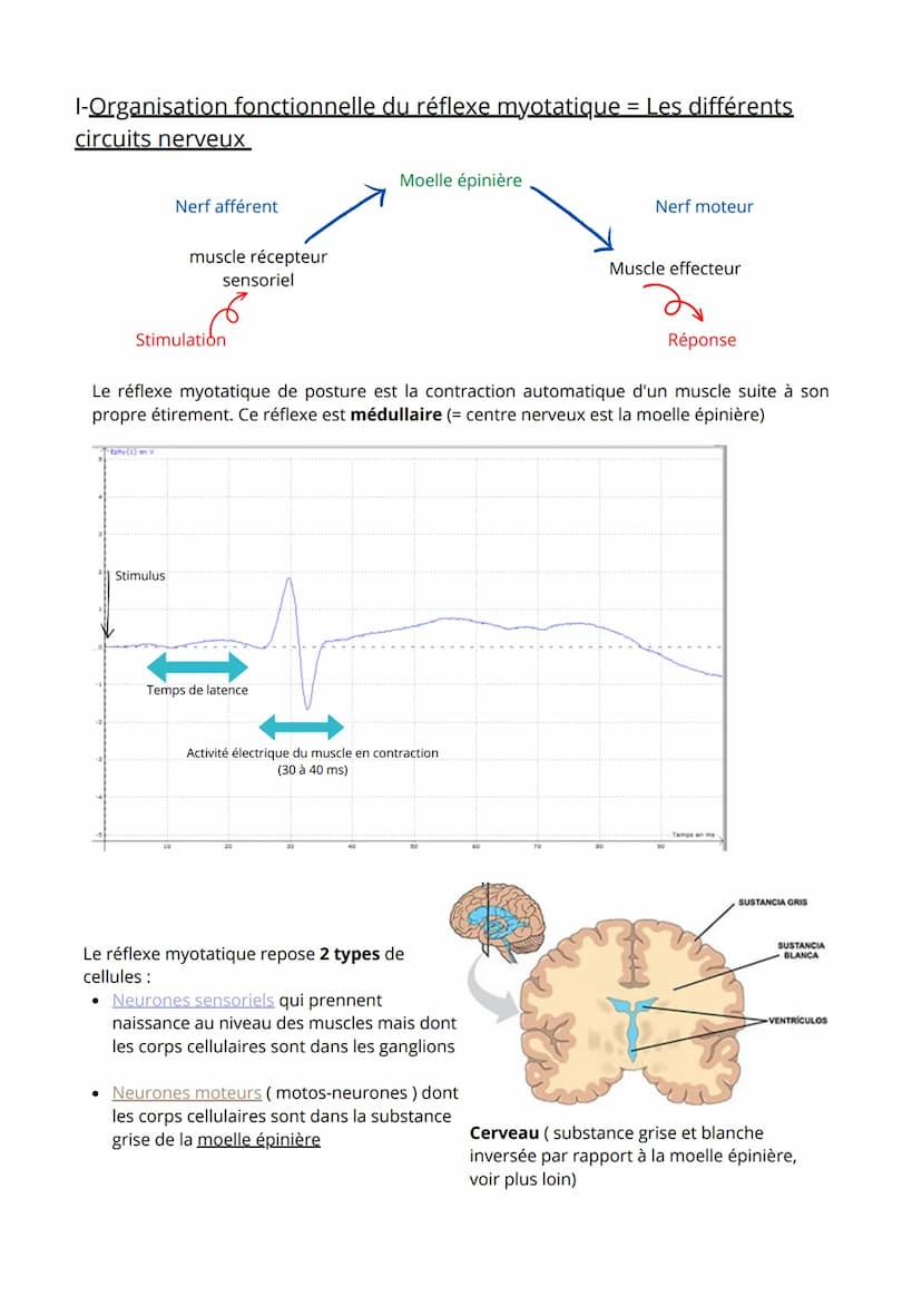 Thème 3: Corps humain et Santé
1ère partie: Comportement et mouvement
.
Comment une substance chimique peut interférer avec le fonctionnemen