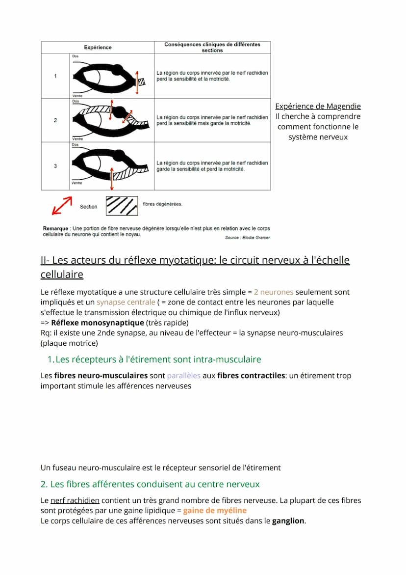 Thème 3: Corps humain et Santé
1ère partie: Comportement et mouvement
.
Comment une substance chimique peut interférer avec le fonctionnemen