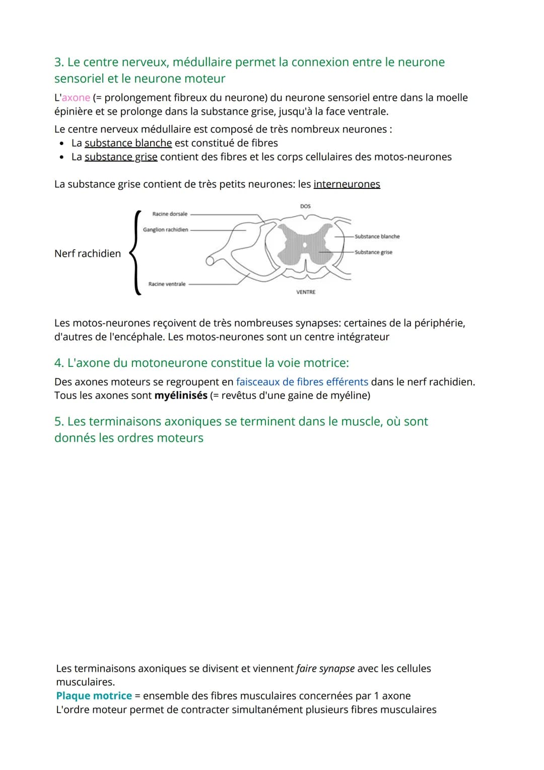 Thème 3: Corps humain et Santé
1ère partie: Comportement et mouvement
.
Comment une substance chimique peut interférer avec le fonctionnemen