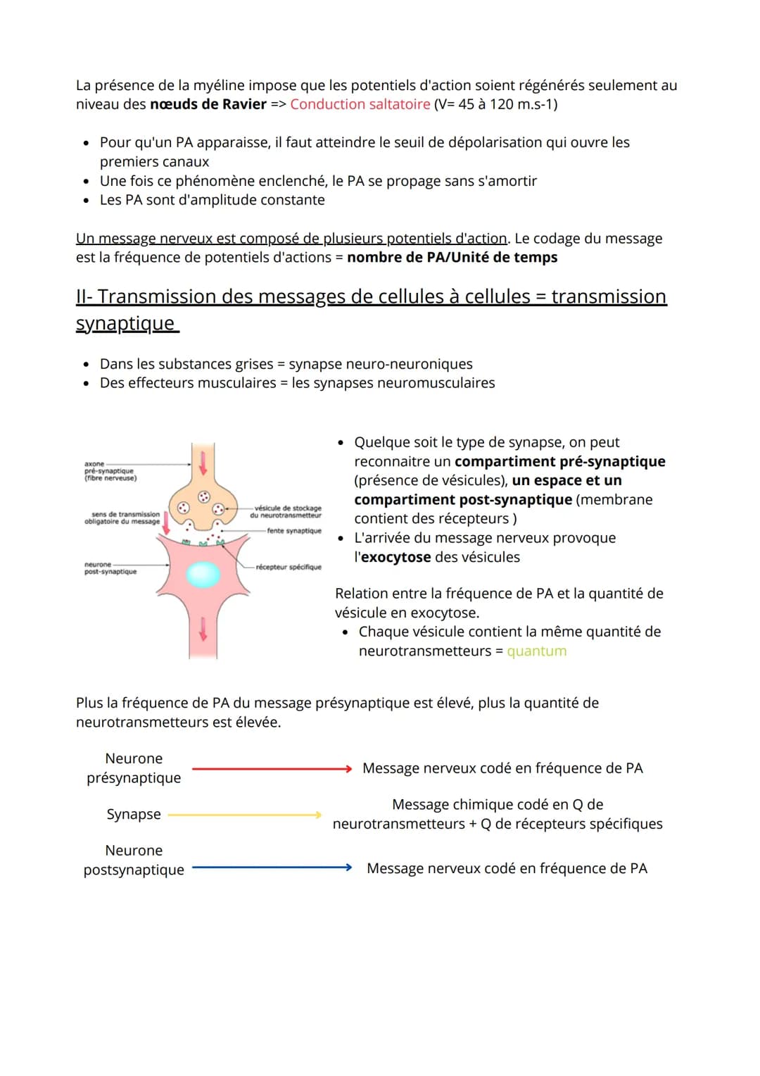 Thème 3: Corps humain et Santé
1ère partie: Comportement et mouvement
.
Comment une substance chimique peut interférer avec le fonctionnemen