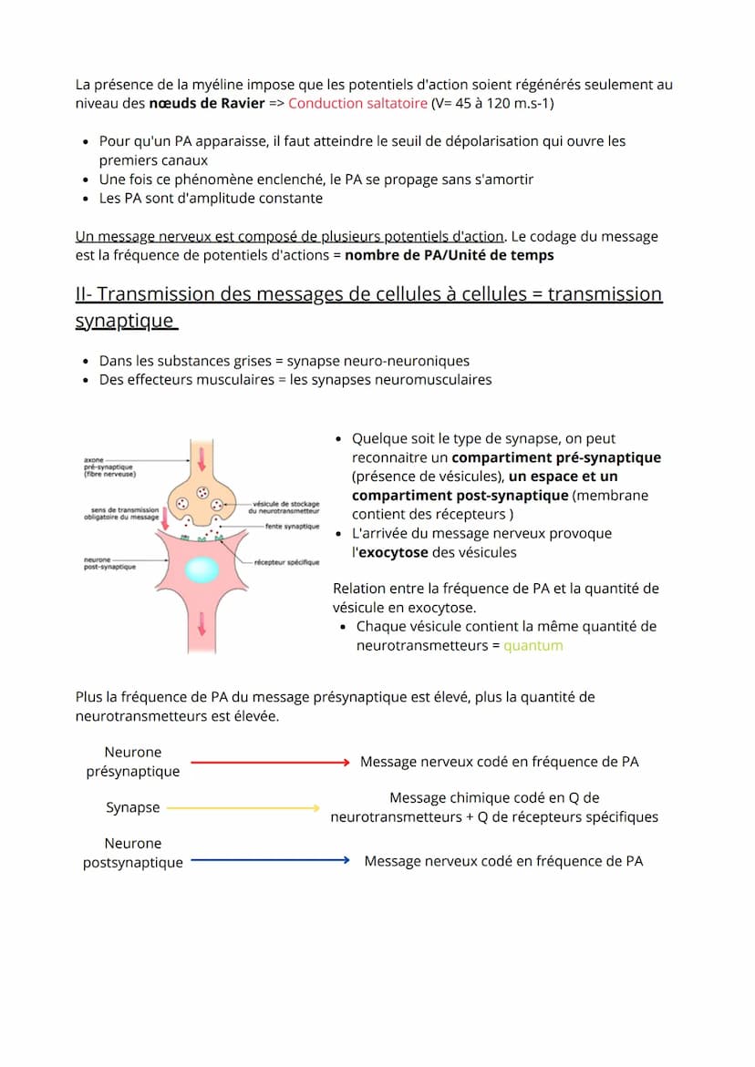 Thème 3: Corps humain et Santé
1ère partie: Comportement et mouvement
.
Comment une substance chimique peut interférer avec le fonctionnemen
