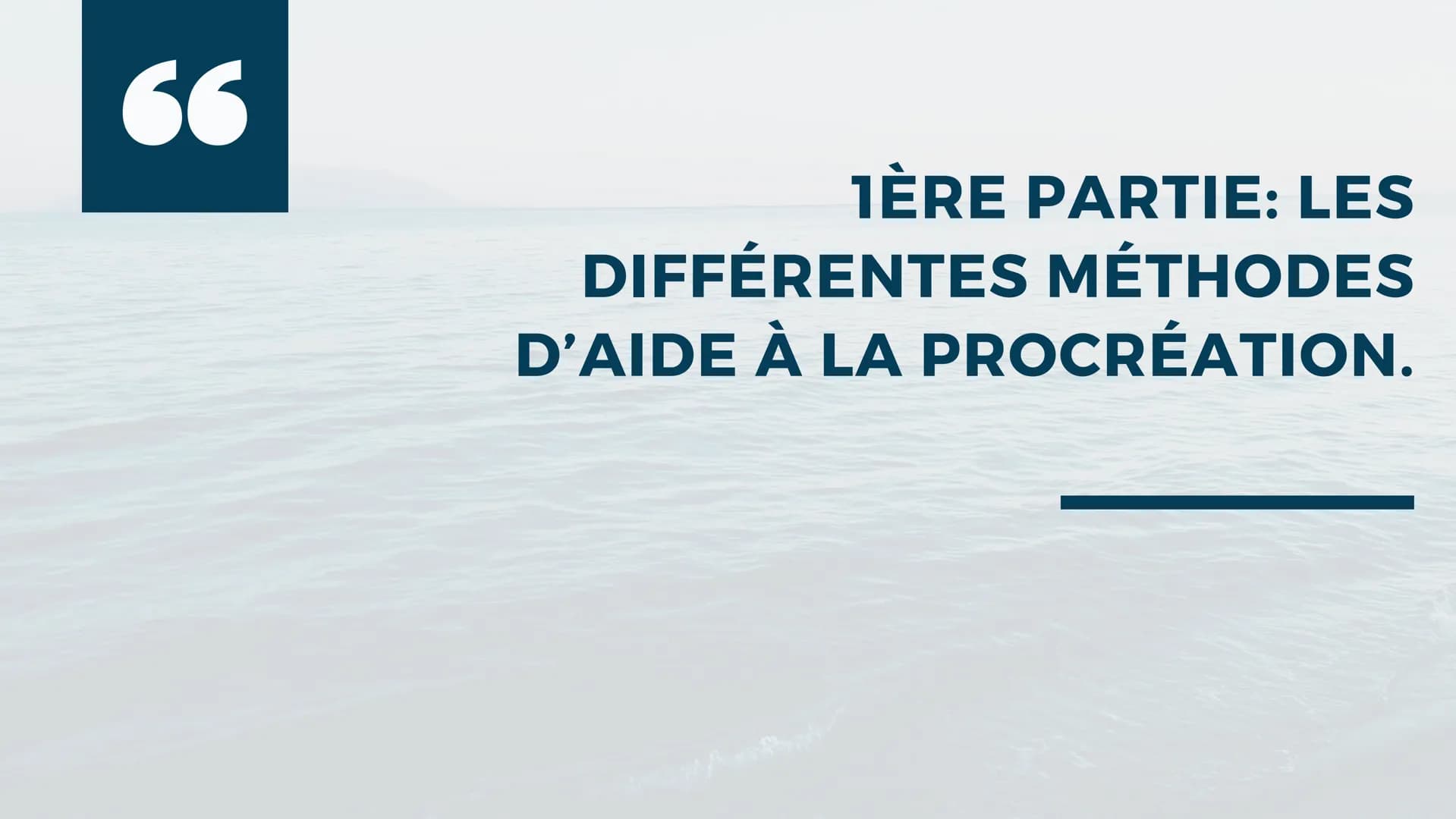 PROCRÉATION ET
SOCIÉTÉ
Le rôle de la PMA et de la GPA dans la société Avant tout, de quoi s'agit-il ?
Une méthode de procréation médicalemen