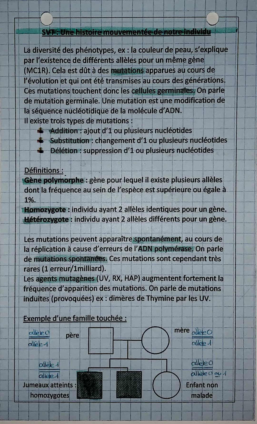 mutations chez les individus
