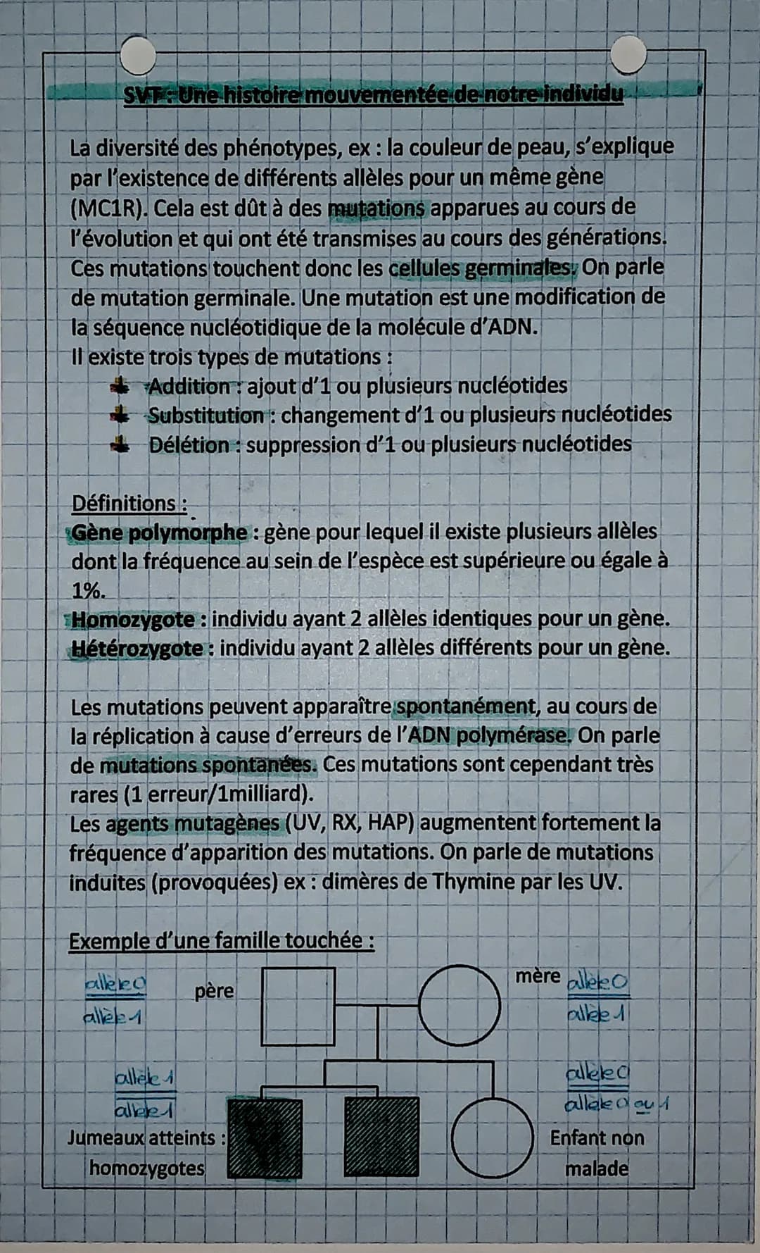 SVT: Une histoire mouvementée de notre individu
La diversité des phénotypes, ex : la couleur de peau, s'explique
par l'existence de différen