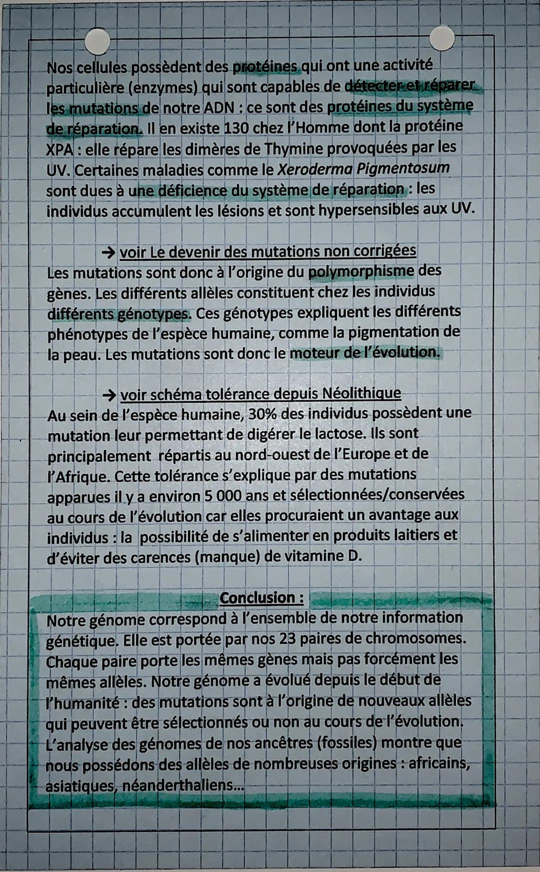 SVT: Une histoire mouvementée de notre individu
La diversité des phénotypes, ex : la couleur de peau, s'explique
par l'existence de différen