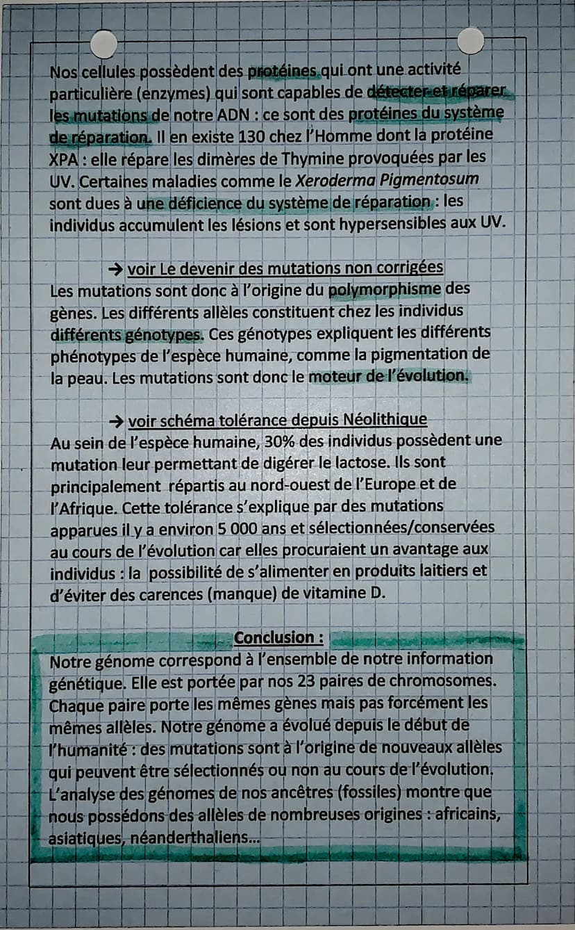 SVT: Une histoire mouvementée de notre individu
La diversité des phénotypes, ex : la couleur de peau, s'explique
par l'existence de différen