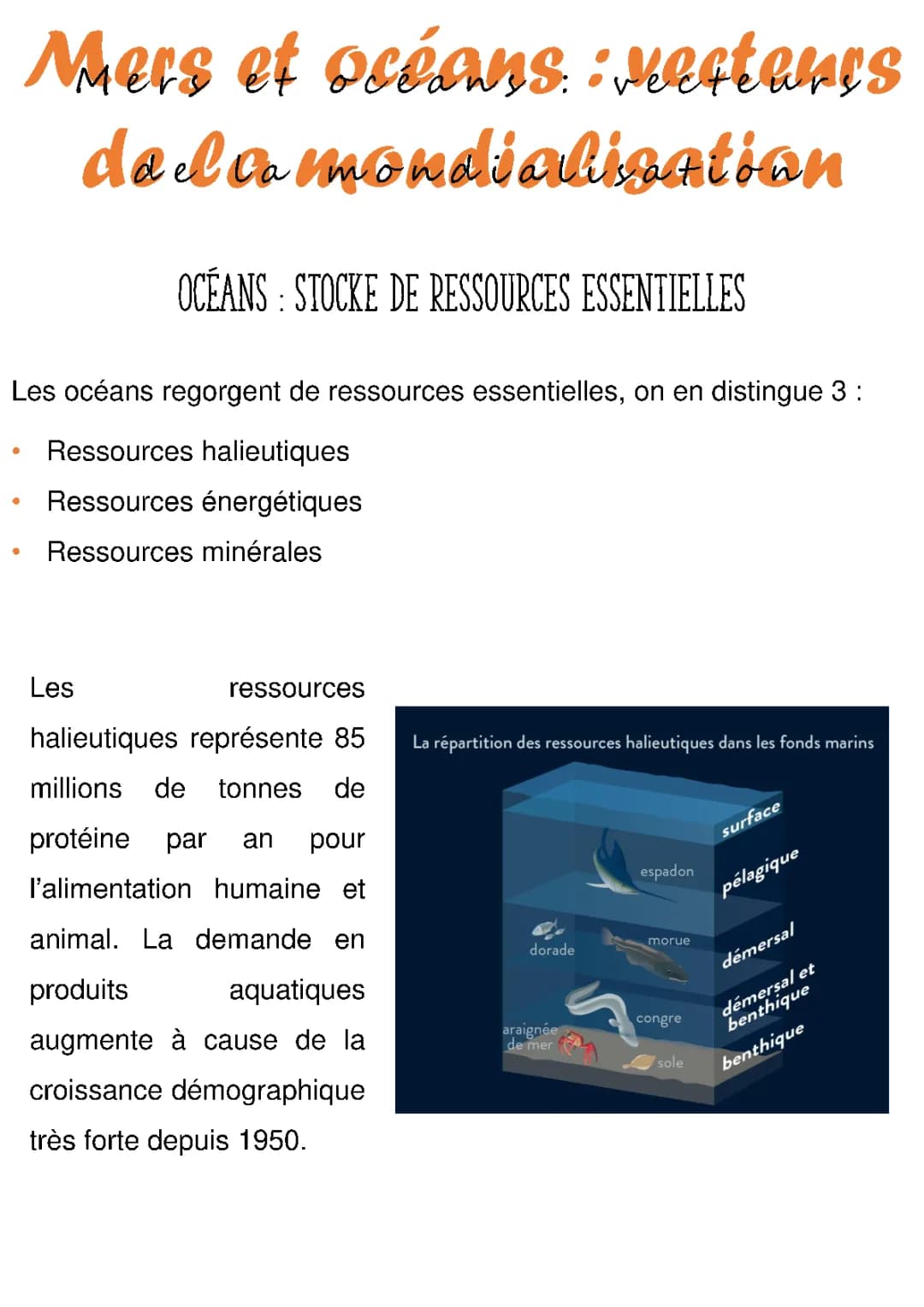 mers et océans : vecteurs de la mondialisation 