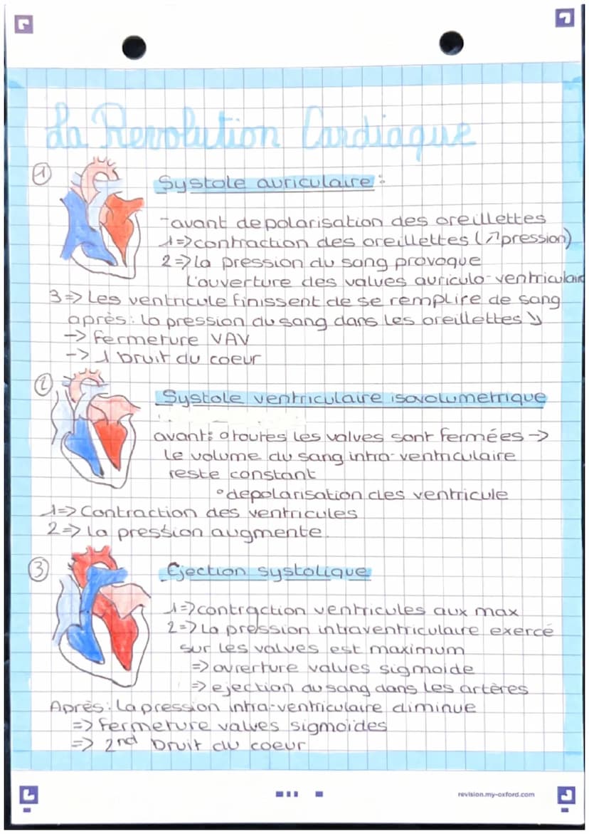 Anatomie et physwlogie de
l'apparril Lardio basculaire
pulmonaire d
A
veine
cave
veine
pulmonaire
d
valve
Sigmoide
oreillette
valve
ricuspid