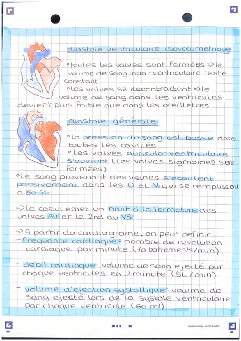 Anatomie et physwlogie de
l'apparril Lardio basculaire
pulmonaire d
A
veine
cave
veine
pulmonaire
d
valve
Sigmoide
oreillette
valve
ricuspid