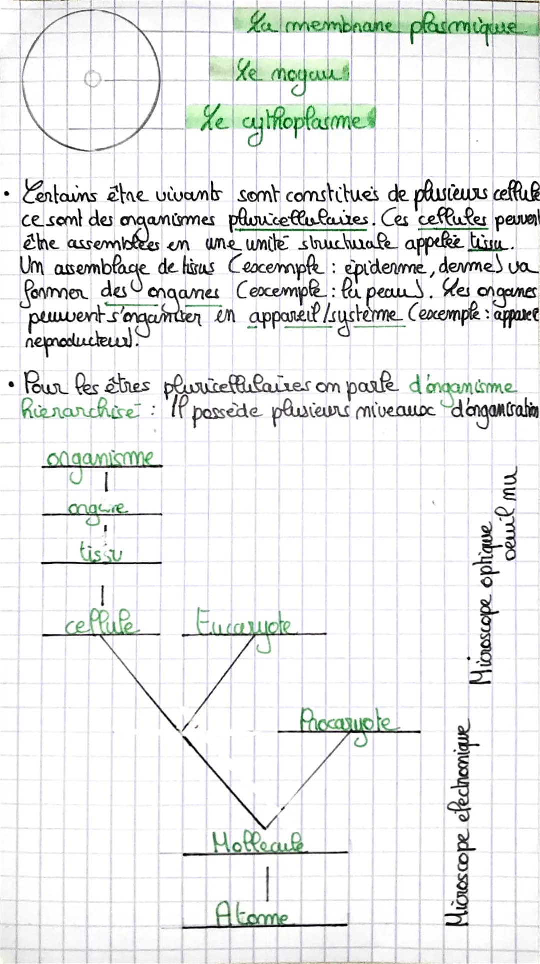 •S•V₂
Longanisation du vivant
Cours : les differents nivcuoc d'organisation du vivants
• Ongane : Structure anatomique composée de
plusieurs