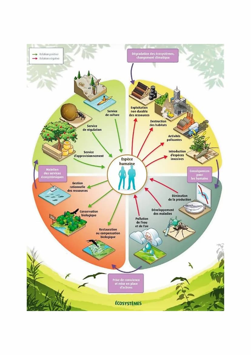 PARTIE 4: Ecosystèmes et services environnementaux :
Chapitre n°2 : Les services écosystémiques et leur gestion :
I-Les écosystèmes : intera
