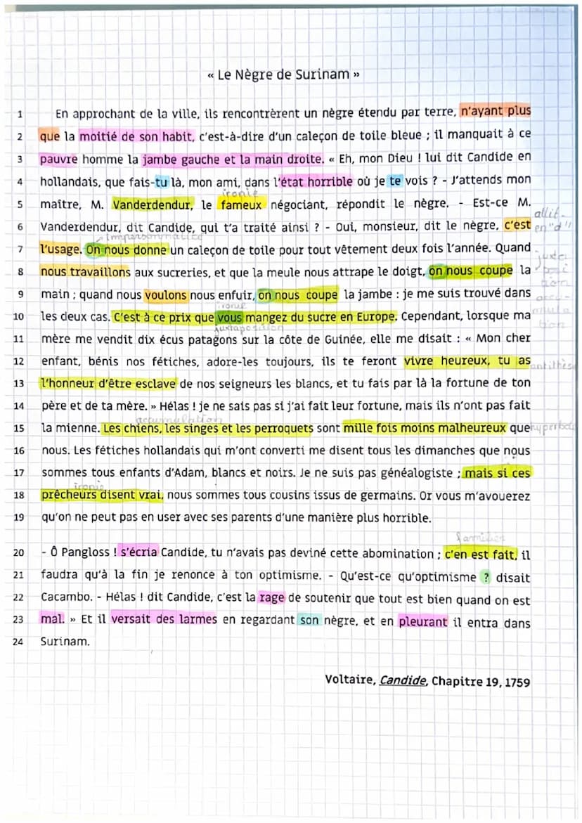 LITTERATURE D'IDEES: ECRIRE ET COMBATTRE POUR L'EGALITE
le Negre
1
de Surinam
Candide ou l'Optimisme
troduction
OEUVRE NOV
com-
Au XVIIIe si