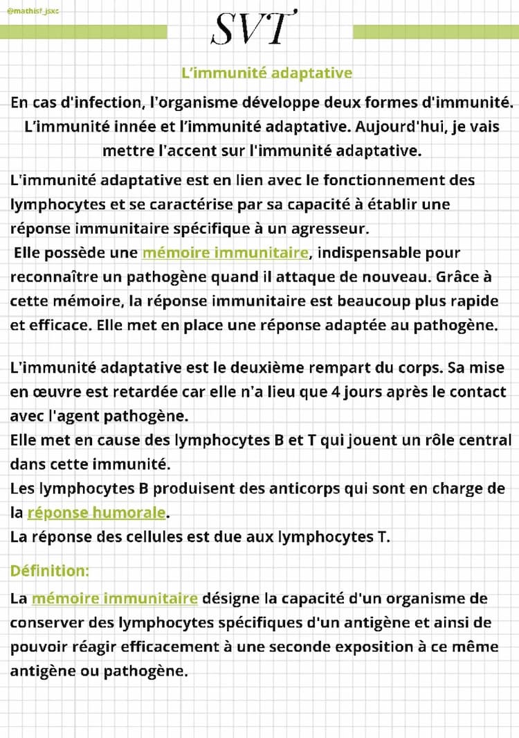 Know Immunité adaptative thumbnail