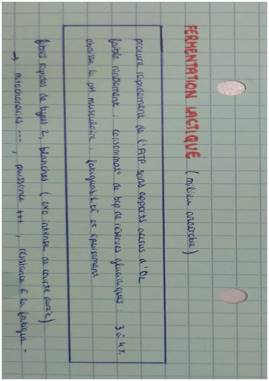 SANTÉ
CHAPH
l'origine de & ATP
ATP seule source a energia milli seble pour la contracts des cellules muscu
molecule cho du métabolisme energ