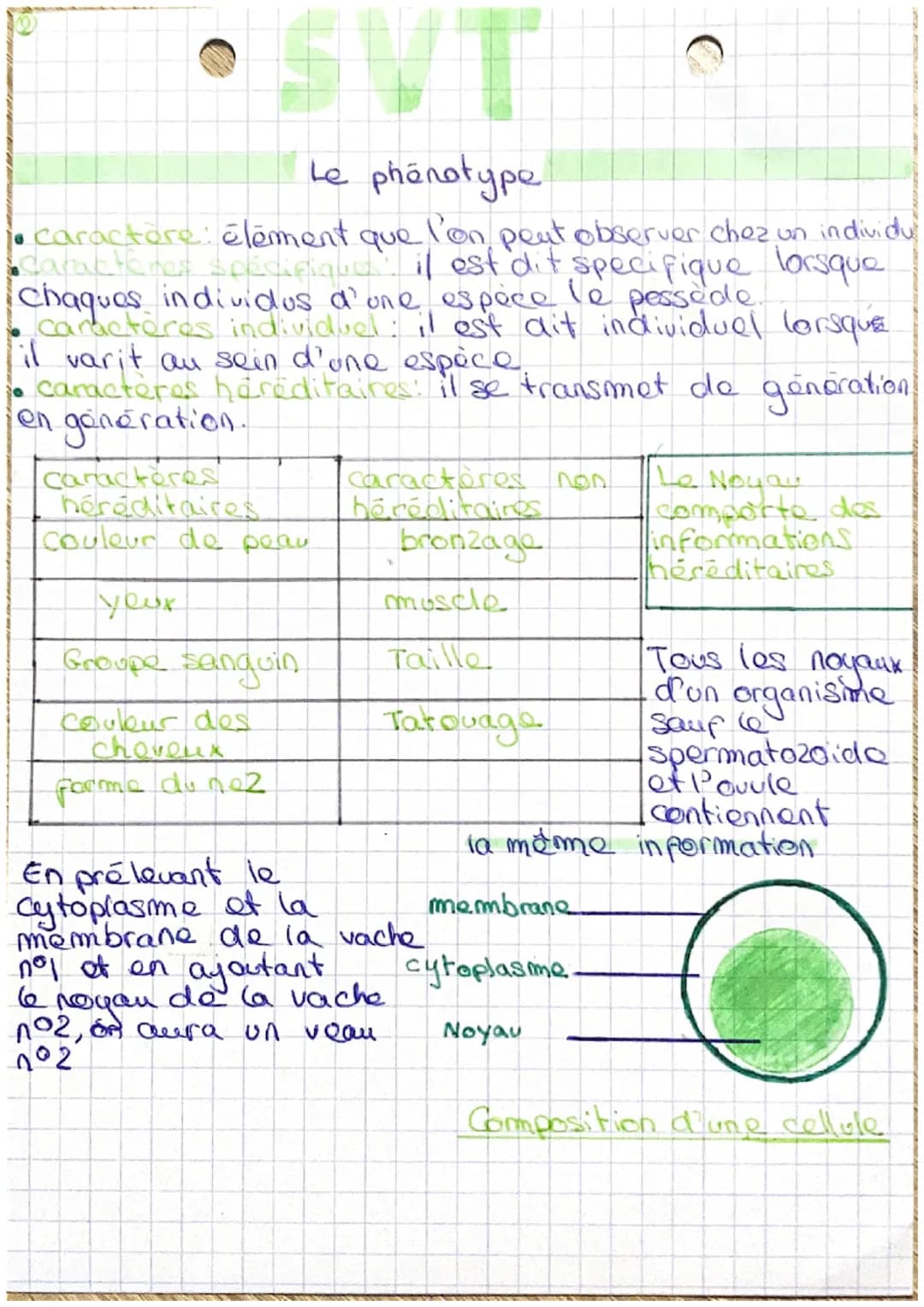 Le phénotype
lorsque
• caractère élément que l'on peut observer chez un individu
●caractères spécifiques il est dit specifique
chaques indiv