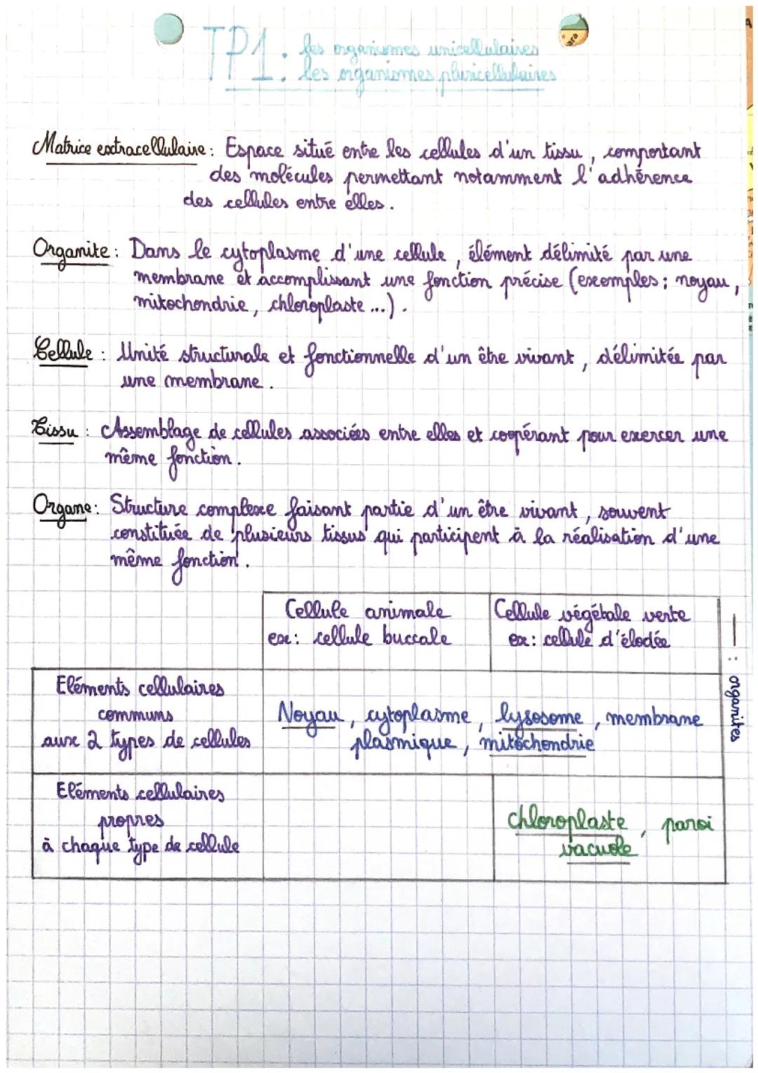 Les organismes