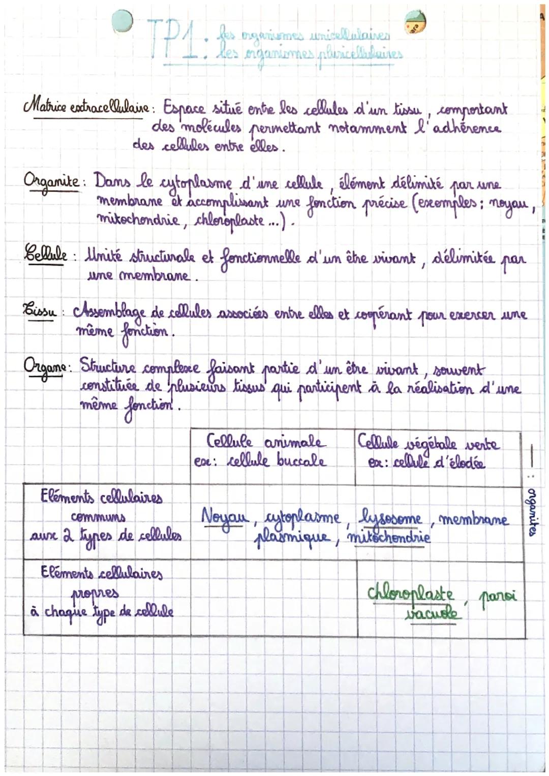 TP1:
"DA. fer organismes unicellulaires
les organismes pluricellulaires
Matrice extracellulaire: Espace situé entre les cellules d'un tissu 