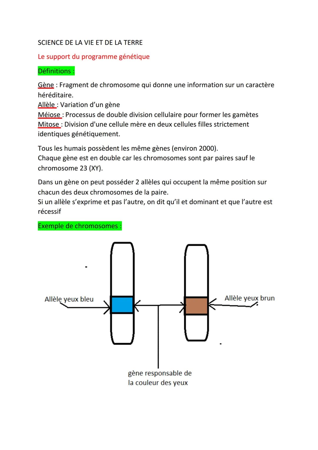 SCIENCE DE LA VIE ET DE LA TERRE
Le support du programme génétique
Définitions
Gène: Fragment de chromosome qui donne une information sur un