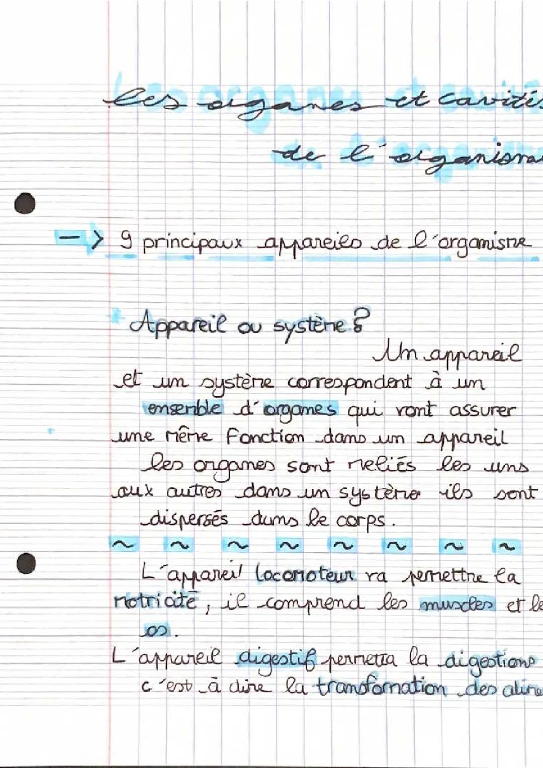 Les organes et cavités de l’organisme