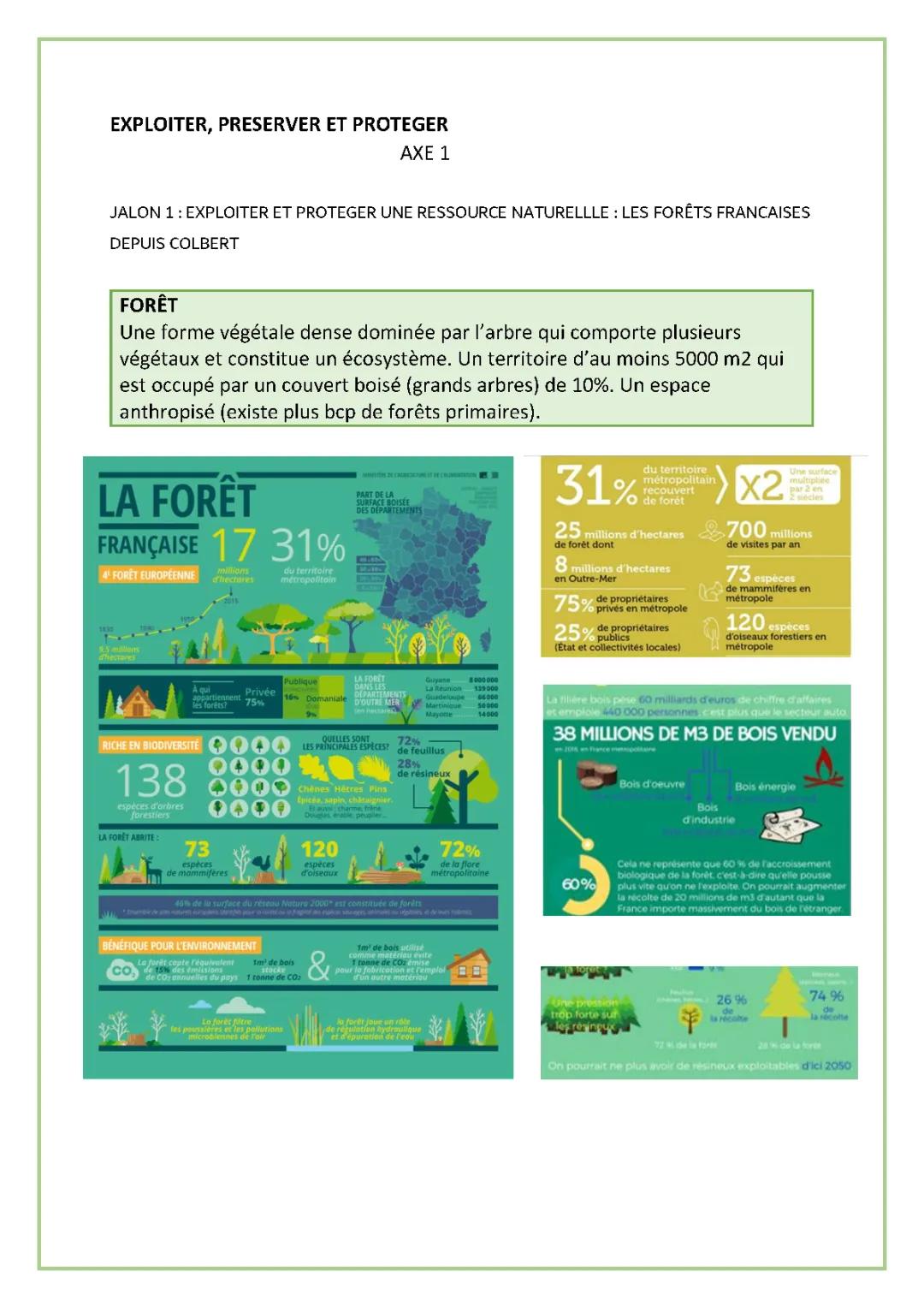 La forêt française depuis Colbert : Évolution et enjeux de la filière bois