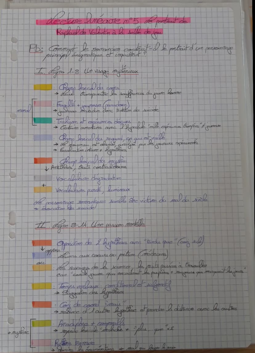 Séquence 2: La Peau de chagrin de Balzac, 1831
Parcours Les romans de l'énergie: création et destruction »>,
séance 3 LL n*5; le portrait de