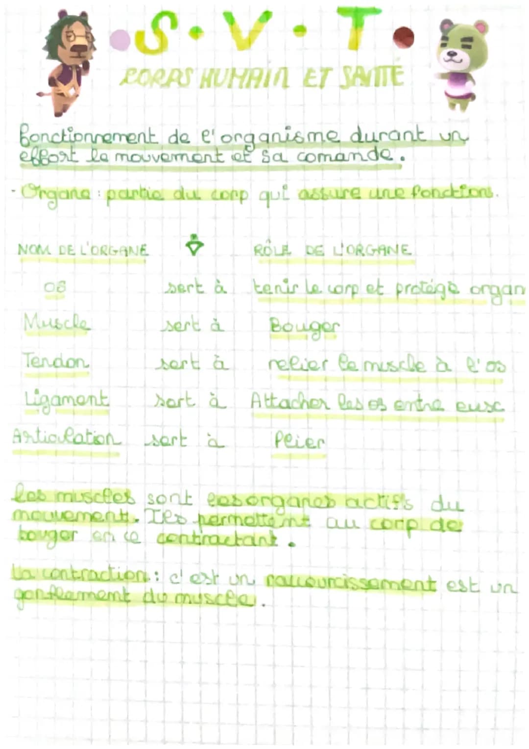 •S
PORPS HUMAIN ET SATTE
Bonctionnement de l'organisme durant un
effort le mouvement of sa comande.
- Organe: partie du corp qui assure une 