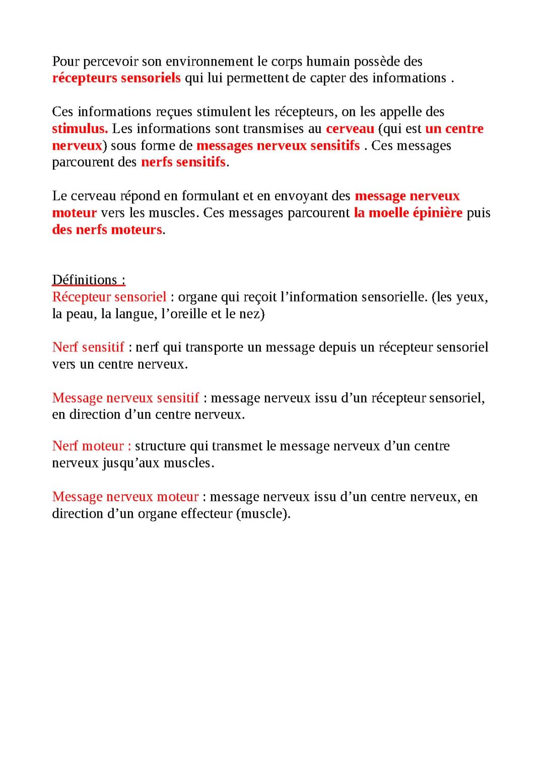 trace écrite commande nerveuse mouvement 