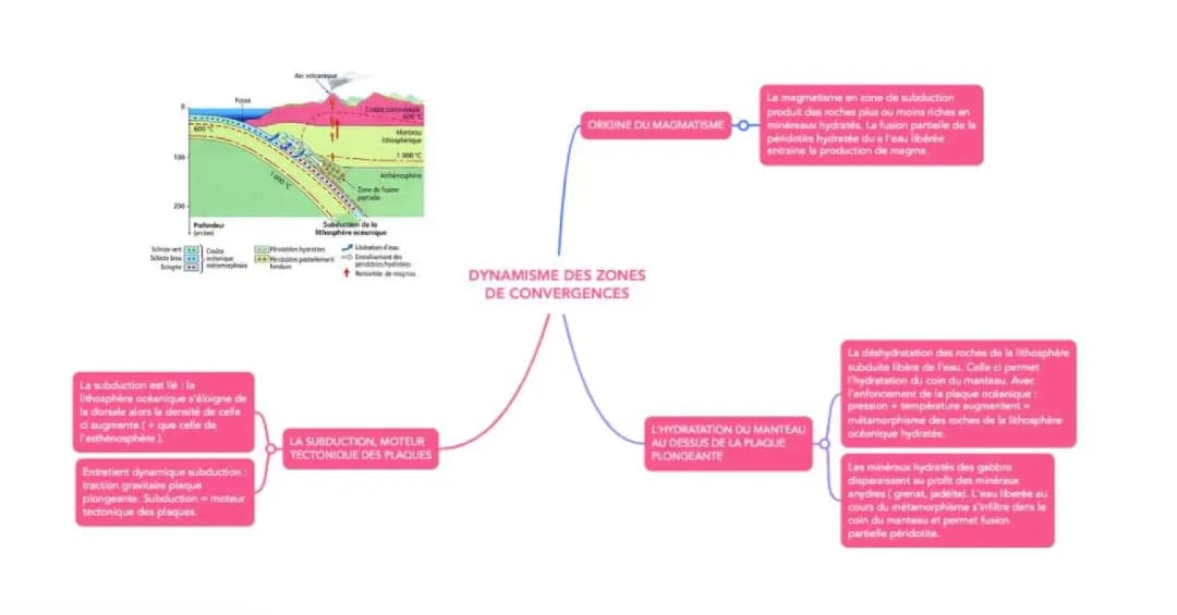 Dynamisme des zones de convergences 