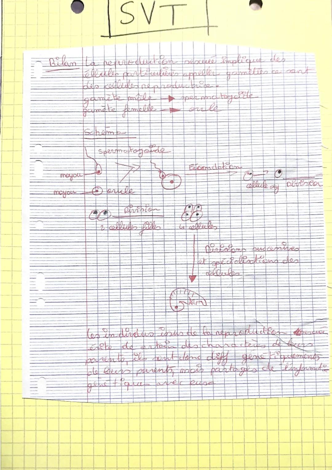 SVT

Bilan La reproduction saxrce implique de
téléveler particulieres appeller gramilies ce sant
des cellules reproduct
gamete male $\longri