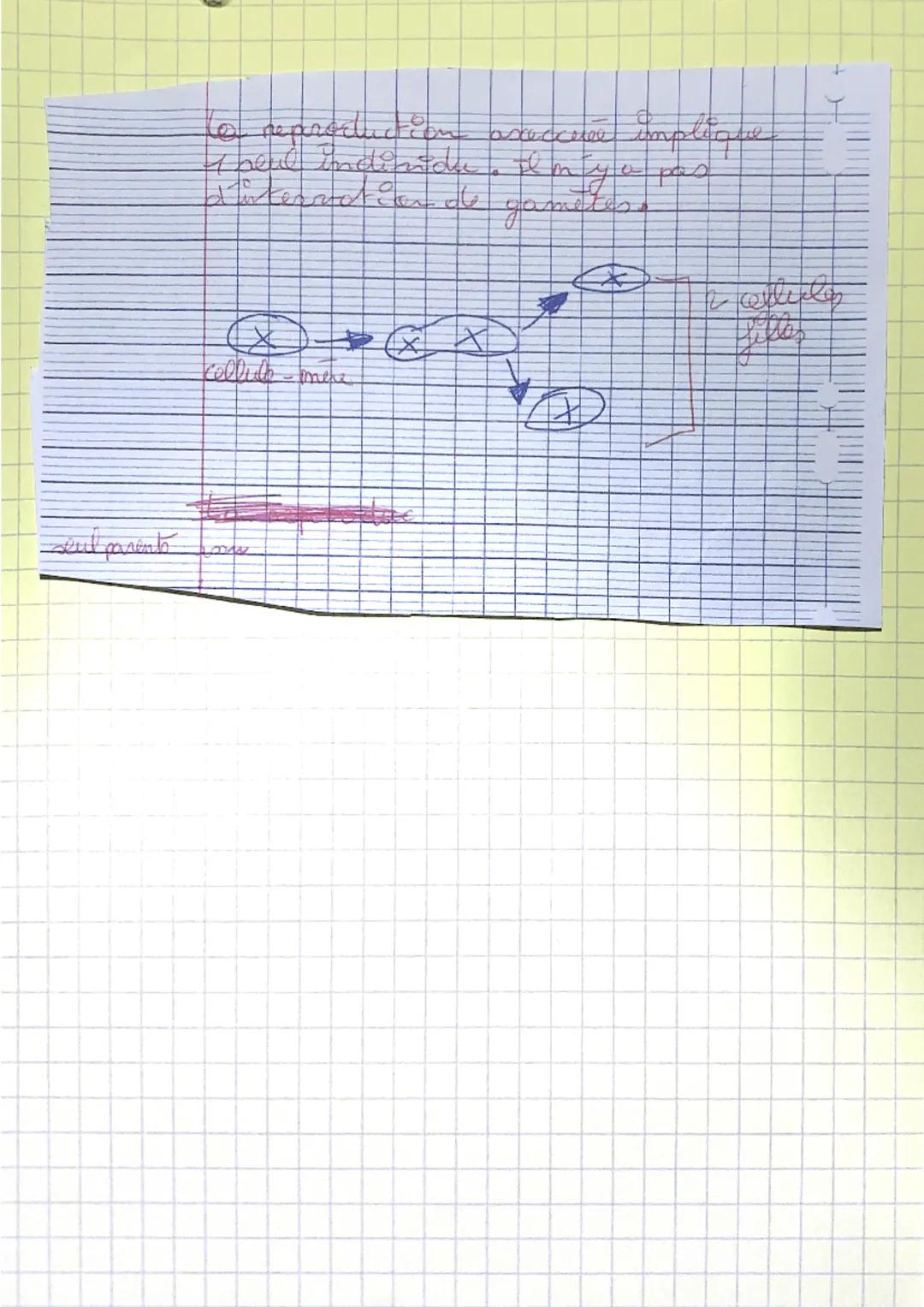 SVT

Bilan La reproduction saxrce implique de
téléveler particulieres appeller gramilies ce sant
des cellules reproduct
gamete male $\longri