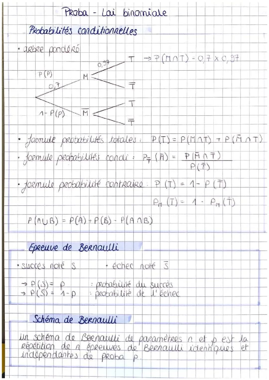 Apprends la probabilité avec l'arbre pondéré et la loi de Bernoulli !