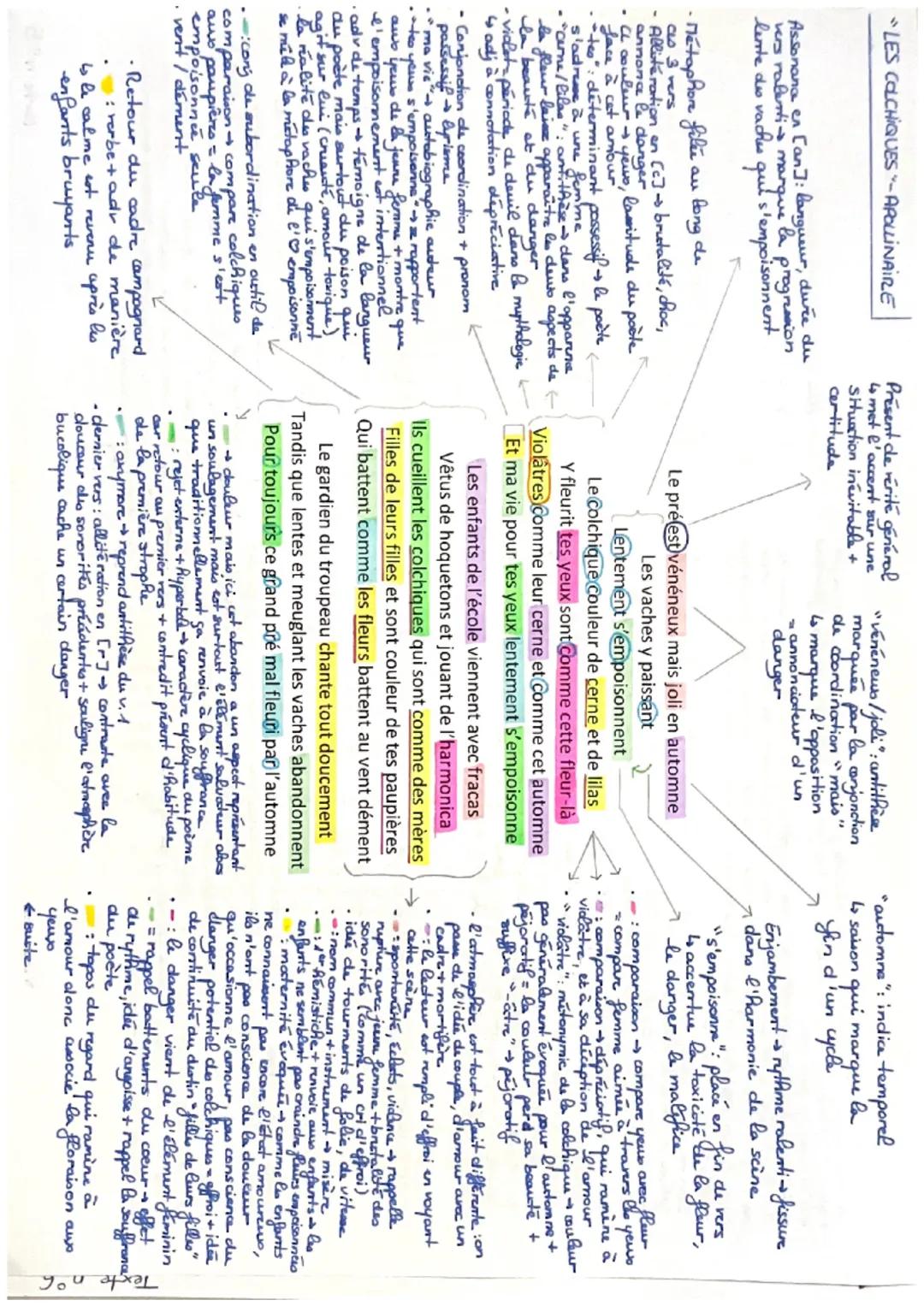 LES COLCHIQUES-APOLLINAIRE

Assonana en [an]: langueur, dure du
vers rabenti marque la progression
lente des vaches qui s'empoisonnent

- Mé