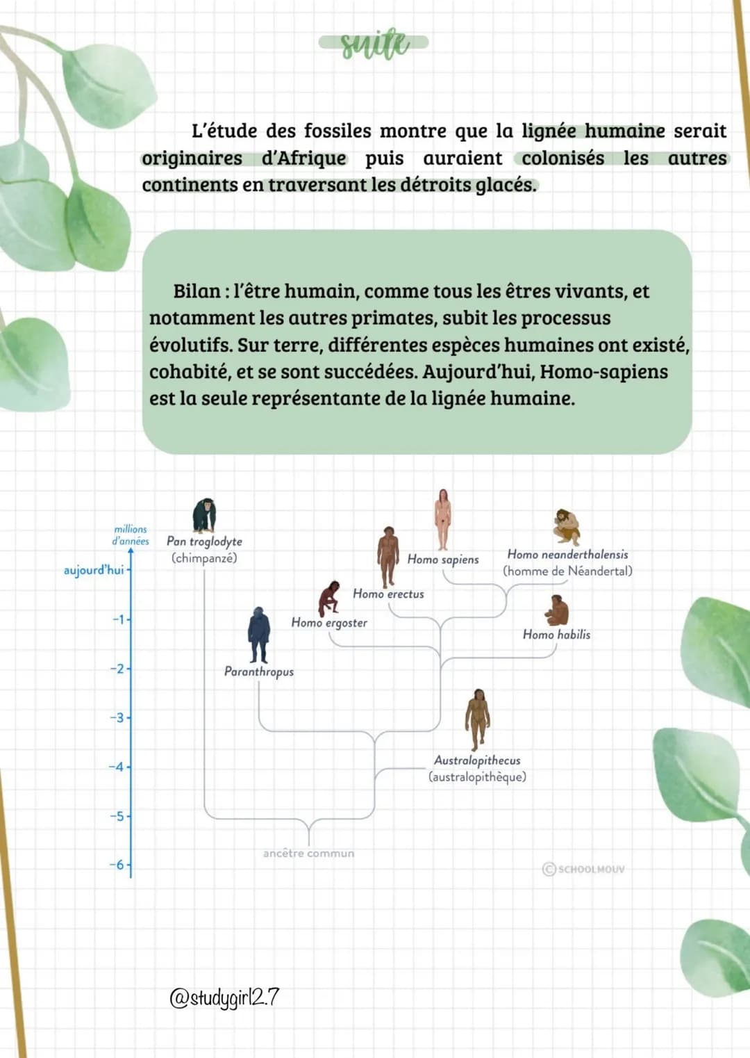 suite
Bilan : toutes les espèces (actuelles fossiles) sont
représentées dans un arbre de parenté (ou phylogénétique) qui
représente les lien