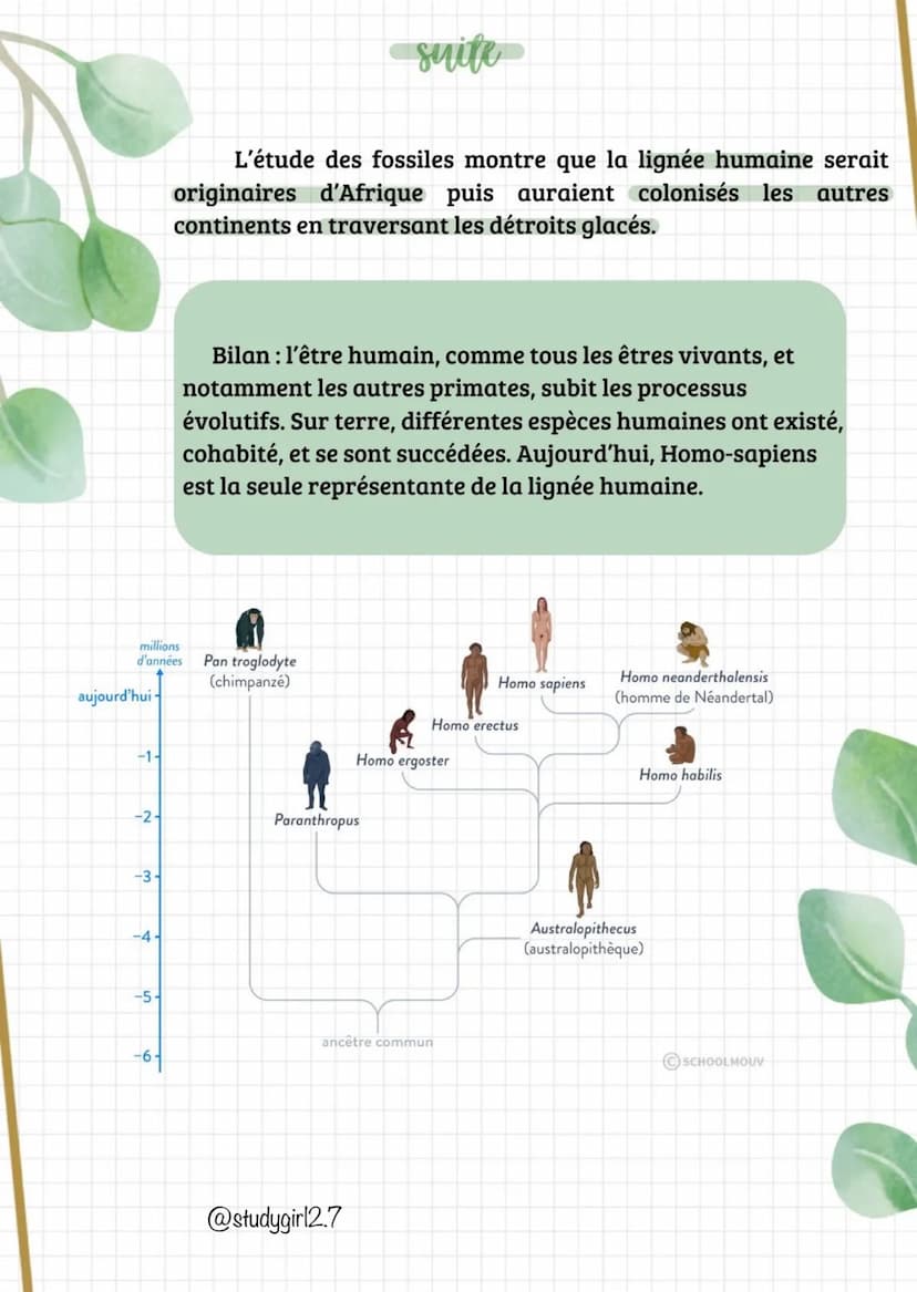 suite
Bilan : toutes les espèces (actuelles fossiles) sont
représentées dans un arbre de parenté (ou phylogénétique) qui
représente les lien