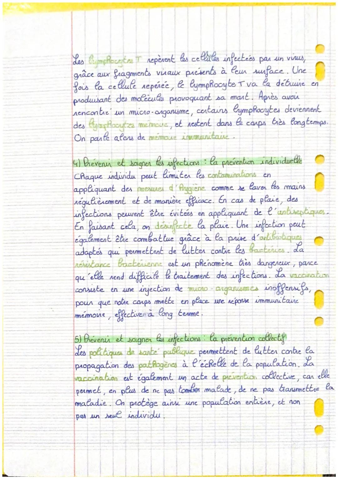 micro-anganisme bénéfique pan la santé ubiquité. beaucoup den
de micro-arganismes

être vivant micnascopique microbiote: miors-
micro-angani