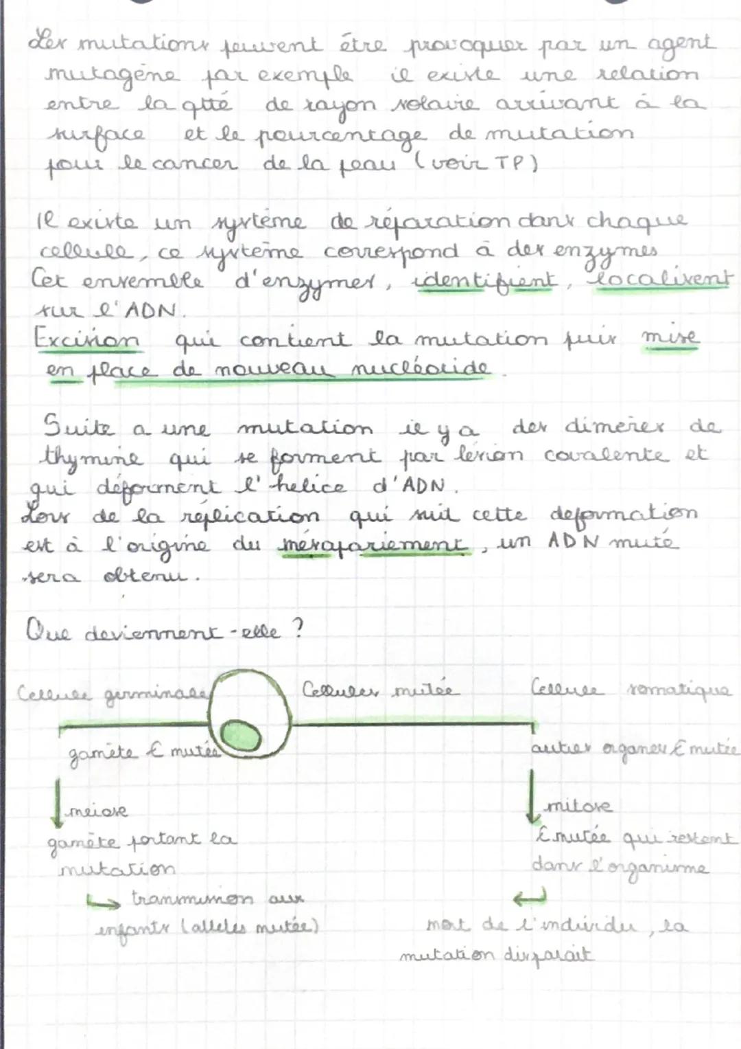 Genome - Envemble der gener d'un indurdu
•Genotype Envemble der alleler four lex differents gene
d'un indurdu
+ Heterozygote - 2 alleler #fo