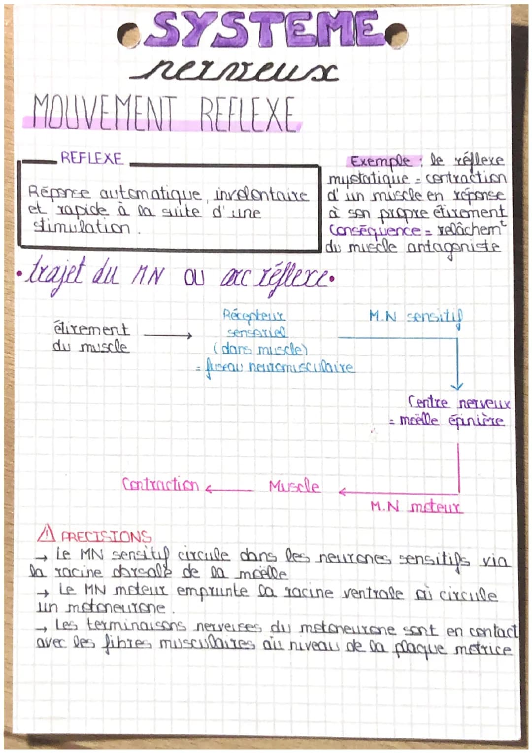 Le système nerveux