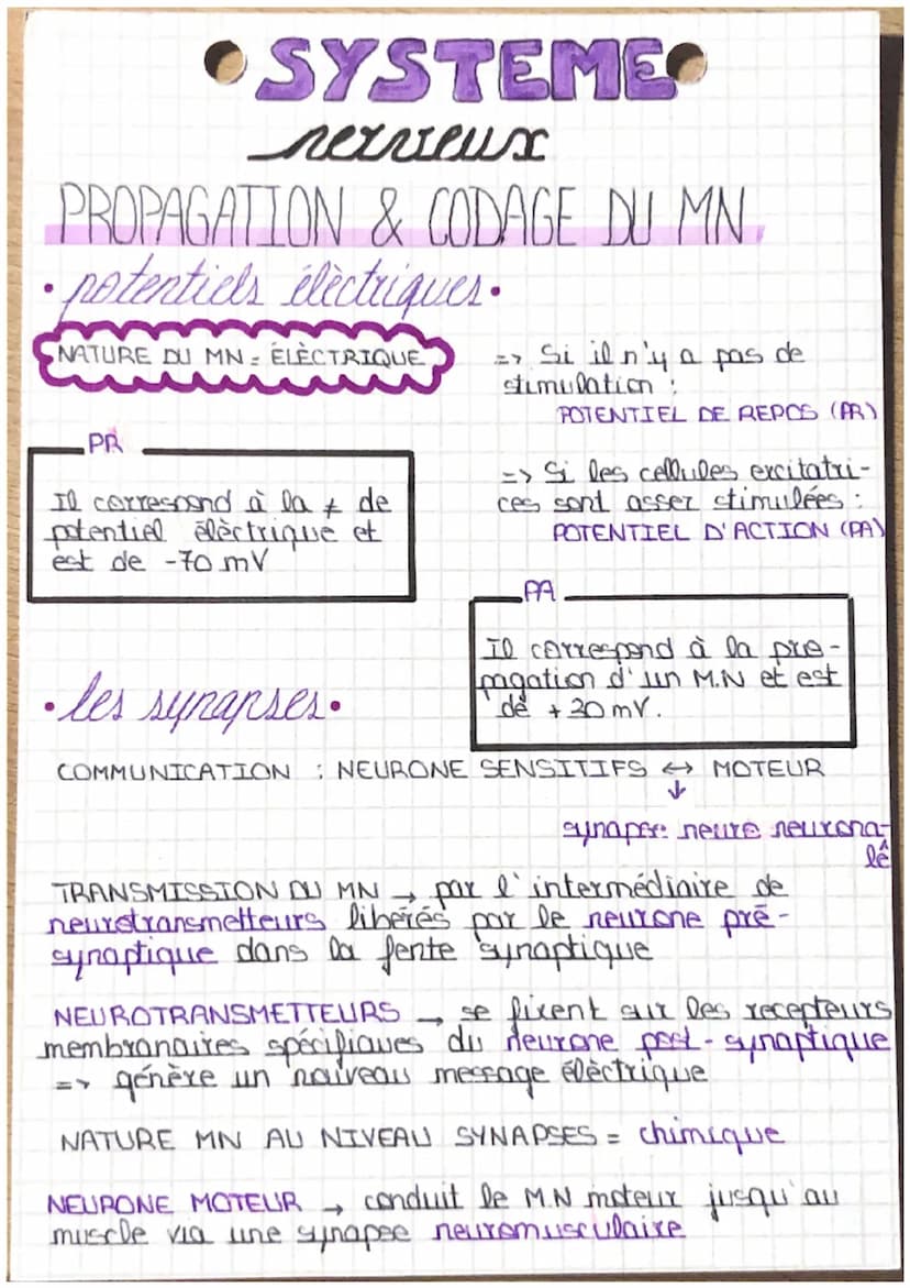 SYSTEME
nerveux
MOUVEMENT REFLEXE
REFLEXE
Réponse automatique, involontaire
et rapide à la suite d'une
stimulation.
Exemple le réflexe
mysta