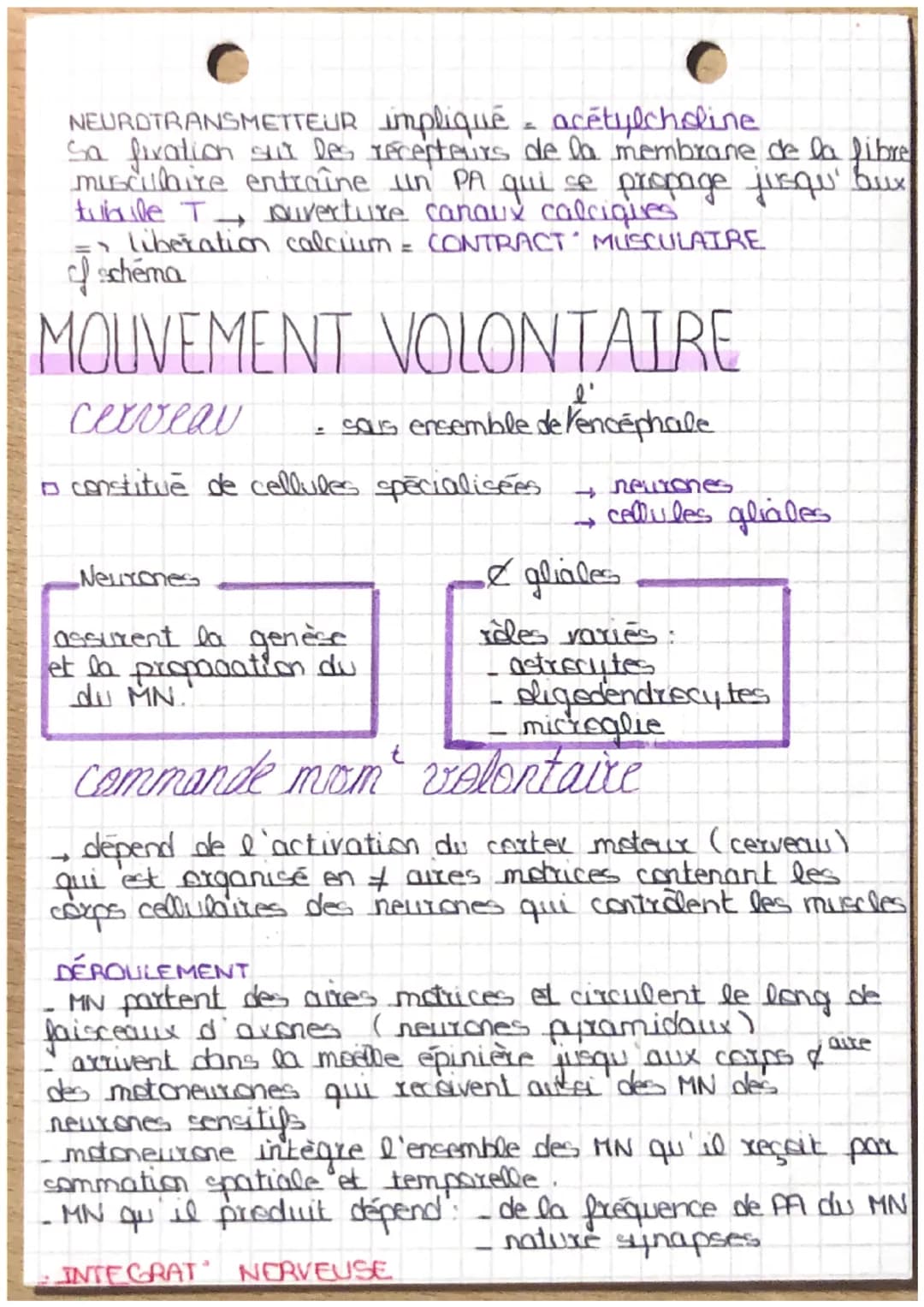 SYSTEME
nerveux
MOUVEMENT REFLEXE
REFLEXE
Réponse automatique, involontaire
et rapide à la suite d'une
stimulation.
Exemple le réflexe
mysta