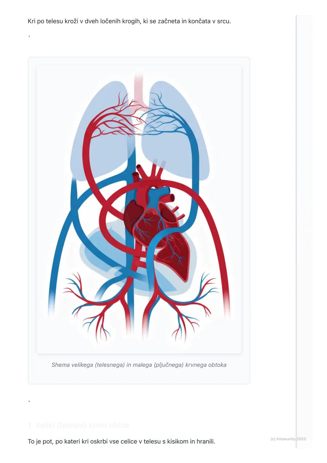 # Obtočilni sistem

Uvod v obtočilni sistem

Obtočilni sistem je transportni sistem našega telesa. Predstavljam si ga kot
mrežo cest (krvne 