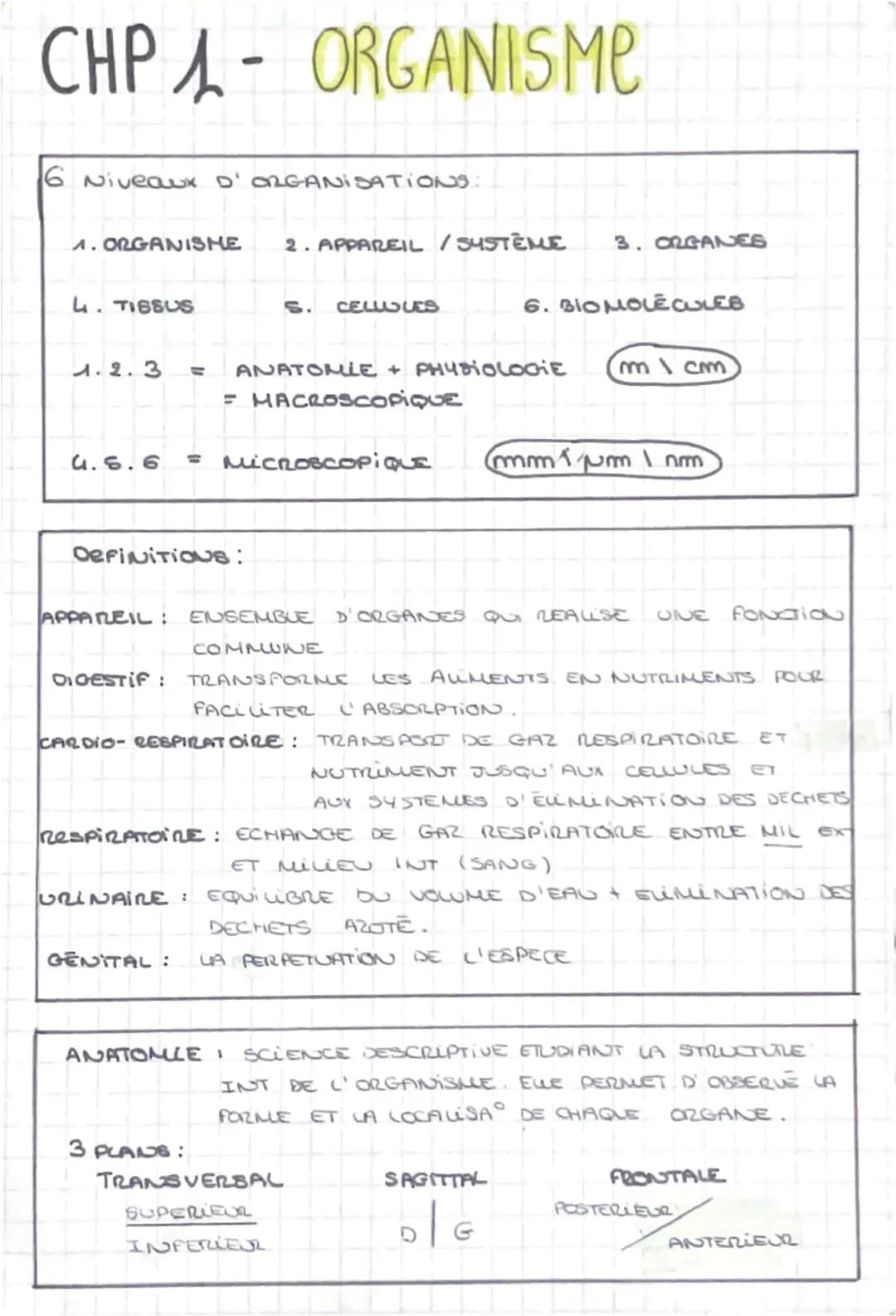 CHPA-ORGANISME
16 Niveaux D'ORGANISATIONS:
1. ORGANISHE 2. APPAREIL / SYSTEME 3. ORGANES
4. TISSUS
1.2.3 =
5. CELLULES
6. BIOMOLECULEB
ANATO