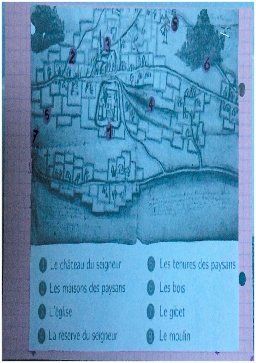 Histoire
des campagnes de
l'occident médiéval
Definitions:
M
De frichement Destruction d'espaces boisés
pour y faire de l'agriculture.
leque