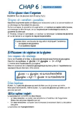 Know Flux de glucose et diabète  thumbnail
