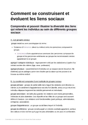 Know Comment se construisent et évoluent les liens sociaux thumbnail