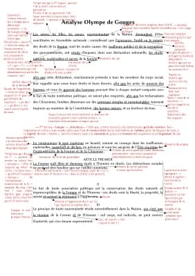 Know Analyse Olympe de Gouges Préambule  thumbnail