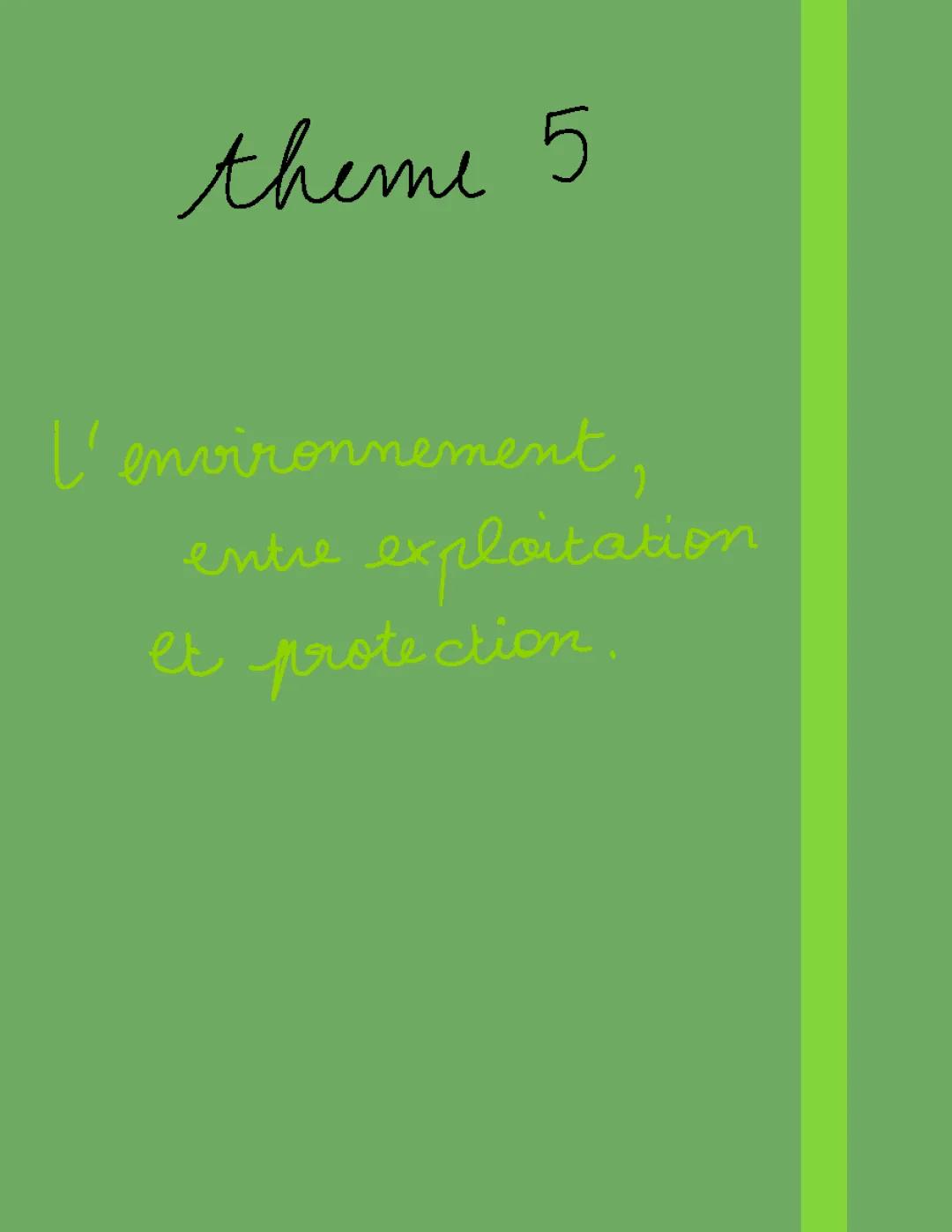 La Révolution Néolithique : Résumé, Conséquences et Impact sur l'Écosystème