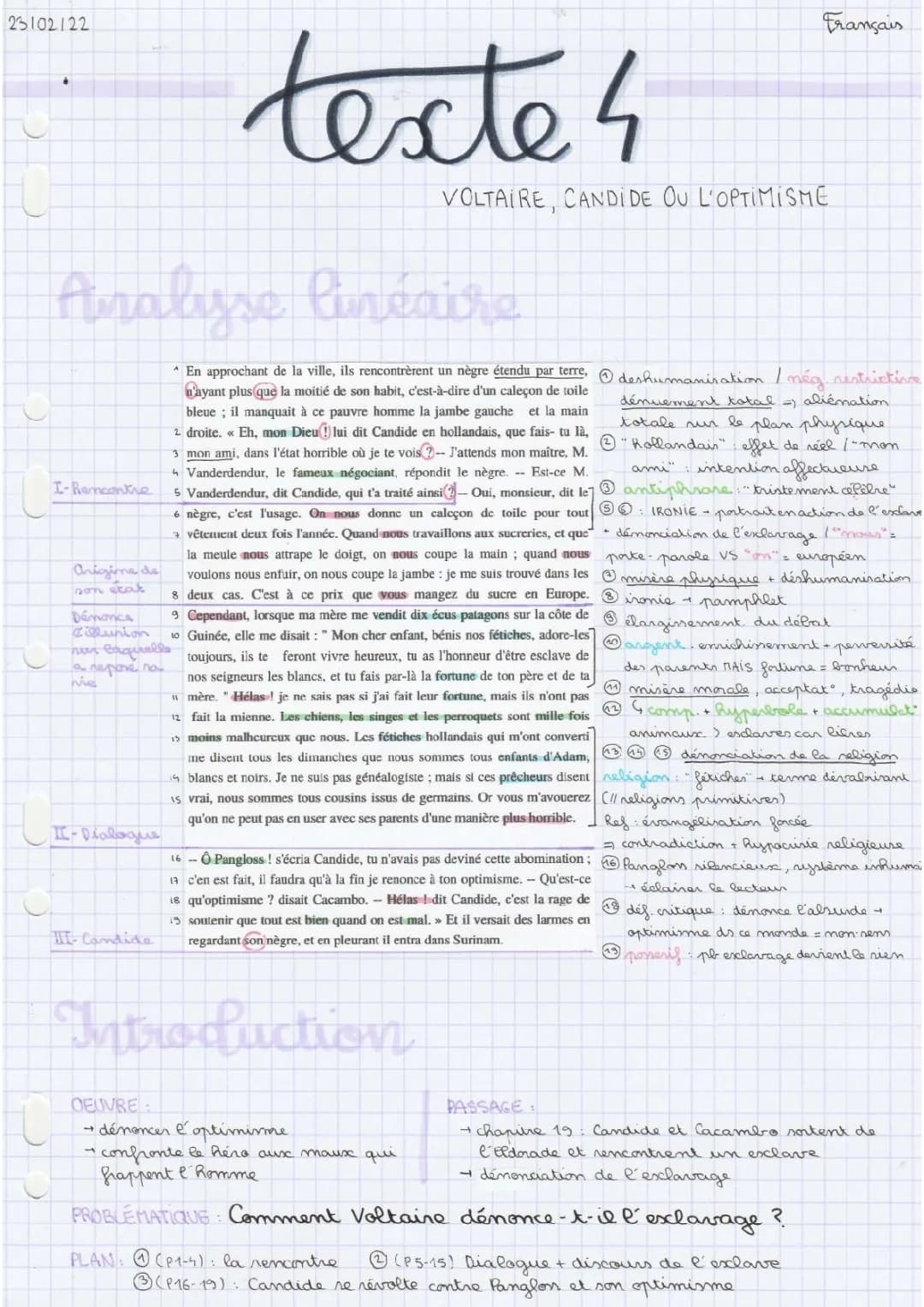 Analyse linéaire : Candide ou l'Optimisme, Chapitre 19