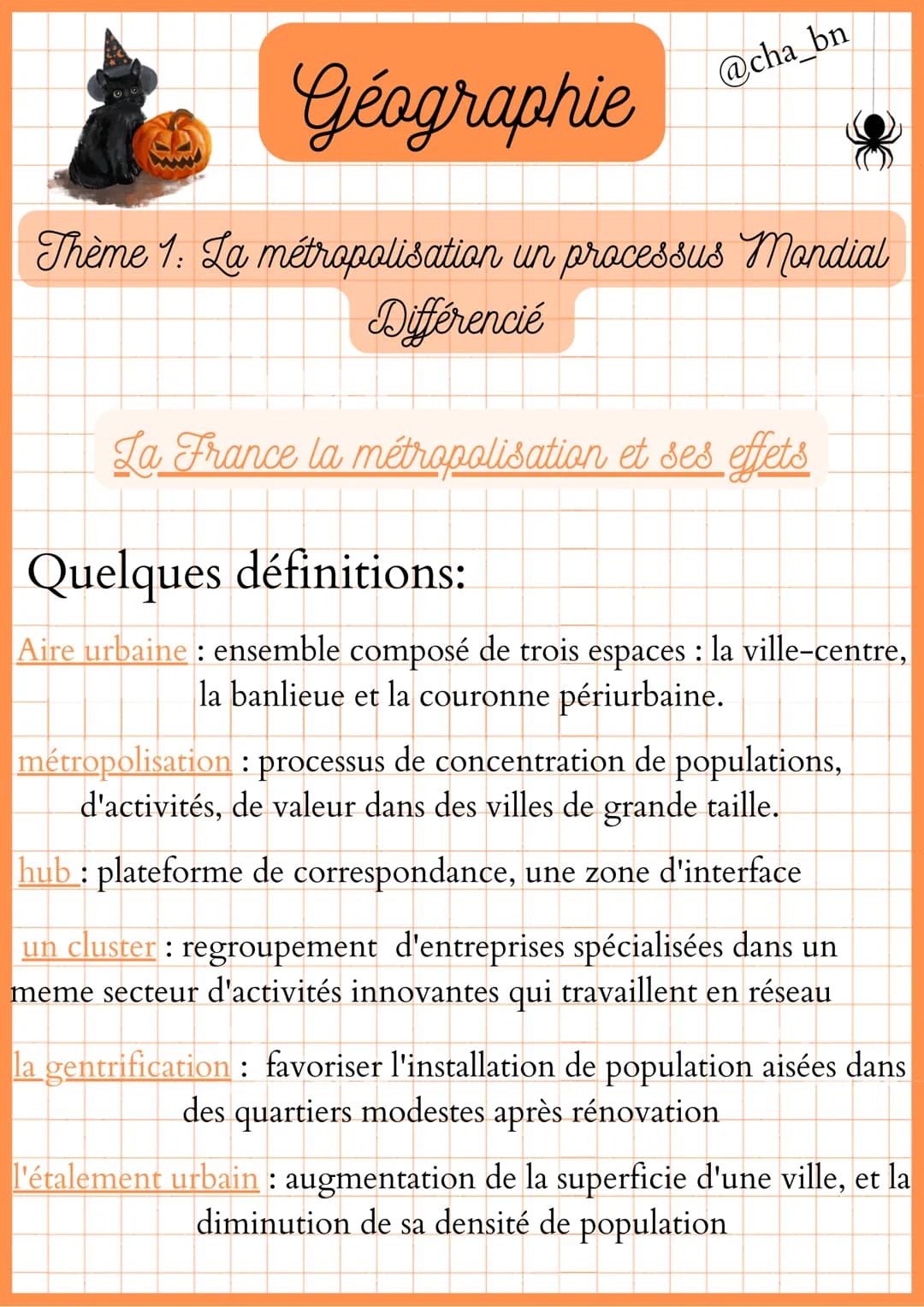 @cha_bn
Géographie
Thème 1: La métropolisation un processus Mondial
Différencié
La France la métropolisation et ses effets
Quelques définiti