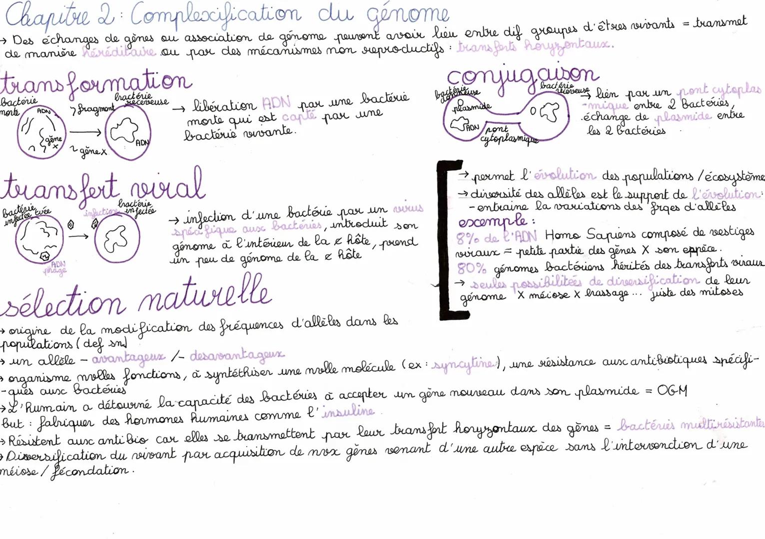 # Chapitre 2 : Complexification du G

> Des échanges de gènes ou association de génome peuvent avoir lieu entre dif groupes d'êtres vivants 